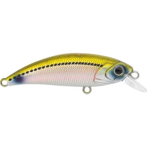 Han Fish Zıpır kg