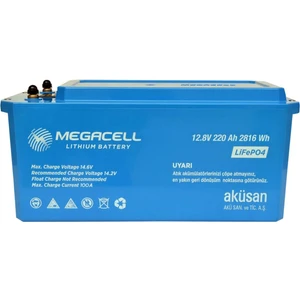 12.8V 220AH Lifepo4 Lityum Demir Fosfat Akü(Abs Kasa)