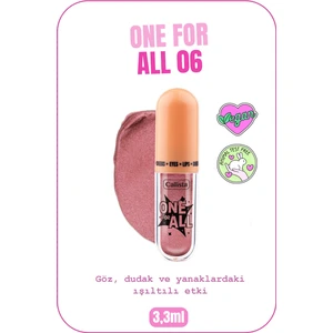 One For All Eyes & Lips & Cheeks Işıltılı Likit Göz farı - 06 Fairy Dreams