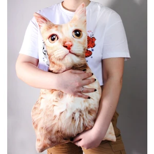 Şirin Kedi Yastık 94731