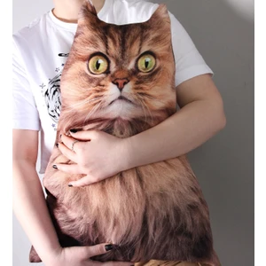 Şirin Kedi Yastık 94732