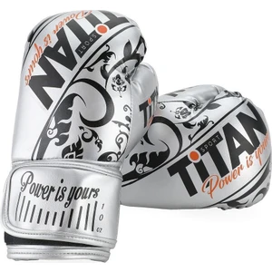 Silver Işlemeli Model Boks Eldiveni