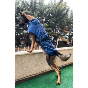 Salya Store Köpek Montu, Köpek Yağmurluğu, Büyük ve Orta Irk Su Geçirmez Köpek Montu Lacivert