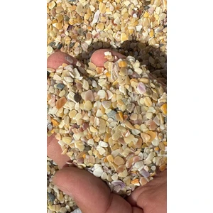 Akvaryum Kumu Renkli Midye Kırığı Kum Iri Taneli 5 kg