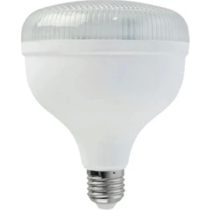 30W Crystal-30 LED Torch Ampul 6400K