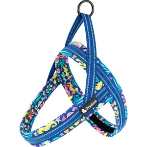 True Love Ocean Mavi Köpek Göğüs Tasması