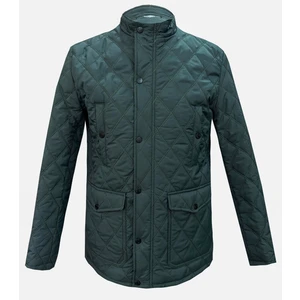 Slim Fit Yeşil Kapitone Hakim Yaka Erkek Mont