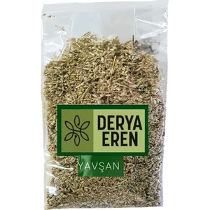 Yavşan Pelin (Artemisia) 100G