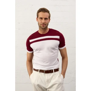 Erkek Renkli Slim-Fit Kalıp Yazlık Triko T-Shirt Bordo - 5018DNGR