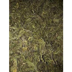 Derya Eren Yapışkan Andız Otu Manisa 100G