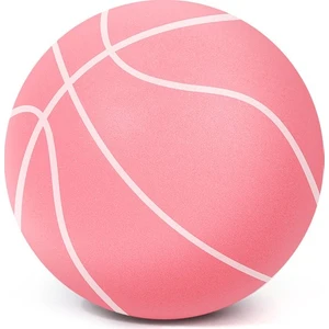 Evde Kullanım Için Sessiz Top Sessiz Zıplayan Top Çocuk Basketbolu (Yurt Dışından)