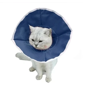 Kedi Yakalığı Bez - 10 Adet