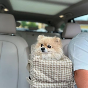 Petty Comfort 3 Fonksiyonlu Konsol Köpek Yatağı-Köpek Yatağı-Taşıma Çantası-Evde Dışarda Arabada