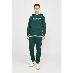 Jpstgordon Jjalvıs Sweat Pants Naf YEŞİL12258477