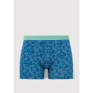 Baskılı Mavi Boxer 0911636-70861