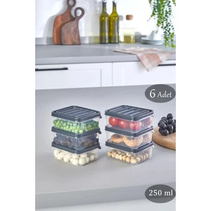 6 Adet 250 ml Dondurucu Sızdırmaz Kapak Buzluk Saklama Kabı