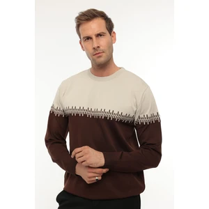 Bej Kahverengi Iki Renk Desenli Bisiklet Yaka Triko Kazak- 2447