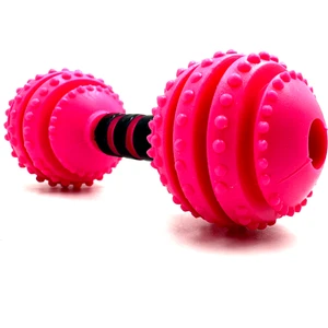 Tasma Market 12cm Dumbell Zilli Ödül Maması Saklanabilir Köpek Eğitim Oyuncağı