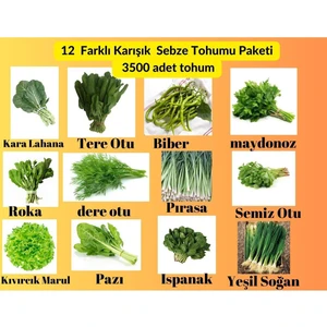 12 Çeşit Sebze Tohum Paketi - Maydanoz, Tere, Roka, Dereotu ,soğan,ıspanak ,marul,biber,pırasa,pazı