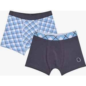 Erkek Çocuk Shadow Çok Renkli Boxer 2'li