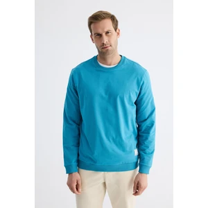 Erkek Basic Bisiklet Yaka Rahat Kalıp Düz Sweatshirt Turkuaz