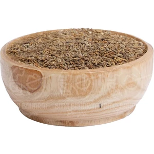 Maydonoz Tohumu 100 gr