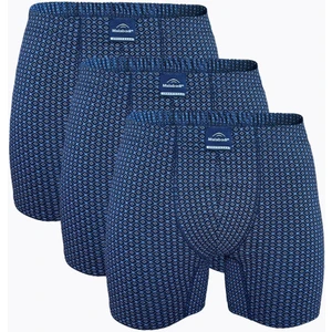 Erkek Desenli 3 Lü Pamuk Elastan Uzun Boxer 3M073