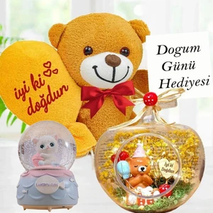 Doğum Günü Işıklı Teraryum & Iyiki Doğdun Balonlu Ayıcık & Lucky Cat Kedi Müzikli Işıklı Kar Küresi