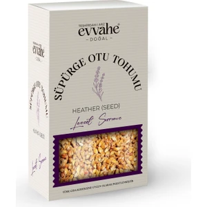 Süpürge Otu Tohumu (100 Gr.)