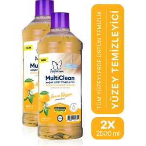 Limon Kokulu Hijyenik Ahşap Temizleyici 2X2500 ml