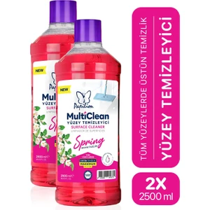Bahar Tazeliği Hijyenik Yüzey Temizleyici 2X2500 ml