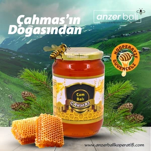 Çam Balı