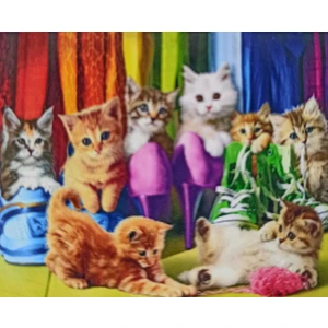 Boncuklu Goblen 5d Taşlı Mozaik Elmas Goblen Diamond Picture Kıt 30X40 Tamamı Yuvarlak Boncuklu