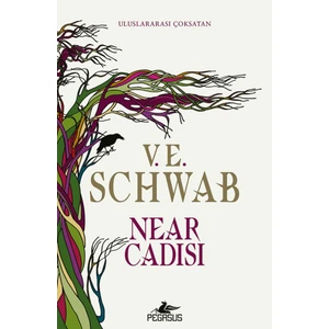 Near Cadısı - V. E. Schwab