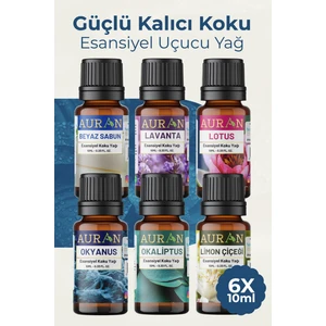 Fresh Set Saf Esansiyel Uçucu Yağ Buhurdanlık Yağı Difüzör Esansı Aromaterapi Koku Yağı 6x 10ml