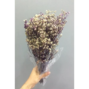 Mor Şoklanmış Cipso Kuru Çiçek