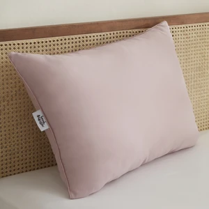 Sarah Anderson Grimes Mikrofiber Yastık Lila