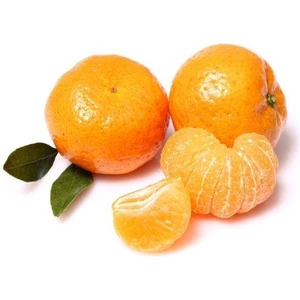 Bodrum Mandalinası Fidanı