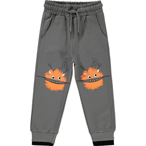 Civil Boys Erkek Çocuk Eşofman Altı 2-5 Yaş Gri