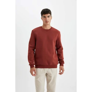 Regular Fit Bisiklet Yaka Kalın Basic Düz Sweatshirt T3777AZ24AU