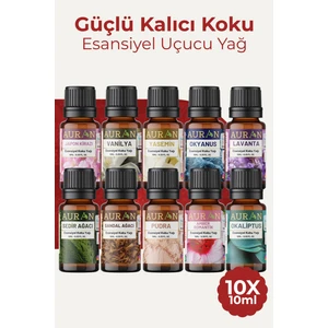 Favori 10'lu Set Esansiyel Uçucu Yağ Buhurdanlık Yağı Hava Nemlendirici Aroma Difüzörü Kokusu Esans