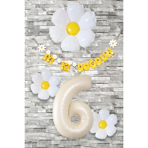 Papatya Tema Doğum Günü Balon Süsleme Seti