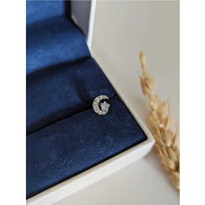 Su Perisi Takı Bijuteri Cerrahi Çelik Gümüş Ay Yıldız Tragus Piercing