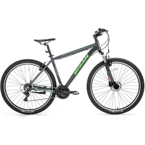 Atlas Erkek Dağ Bisikleti 48CM Hd 29 Jant 21 Vites Parlak Gri Yeşil