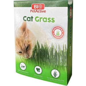 Bio Petactive Bio Pet Active Grass Kit Natual Kedi Çimi