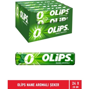 Nane 28 gr 24'lü Paket