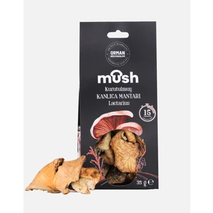 Kurutulmuş Kanlıca Mantarı (35 G)