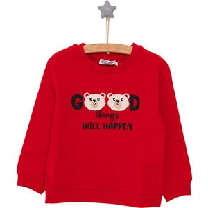 Basic Az Şardonlu Aslan Desenli Sweatshirt Kız Bebek