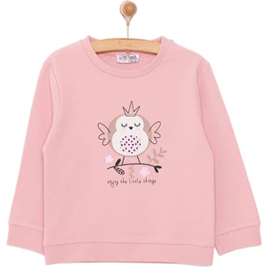 Basic Az Şardonlu Aslan Desenli Sweatshirt Kız Bebek