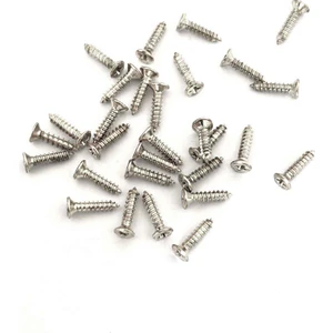 100 ADET  9,5 MM MİNİ HOBİ VİDASI NİKEL